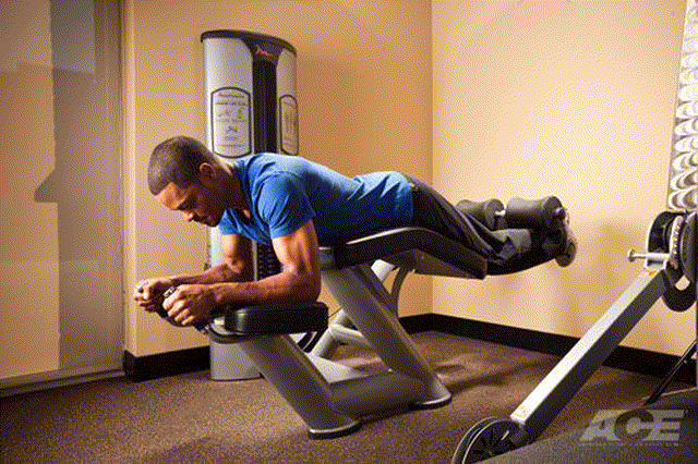 Lying Hamstrings Curl